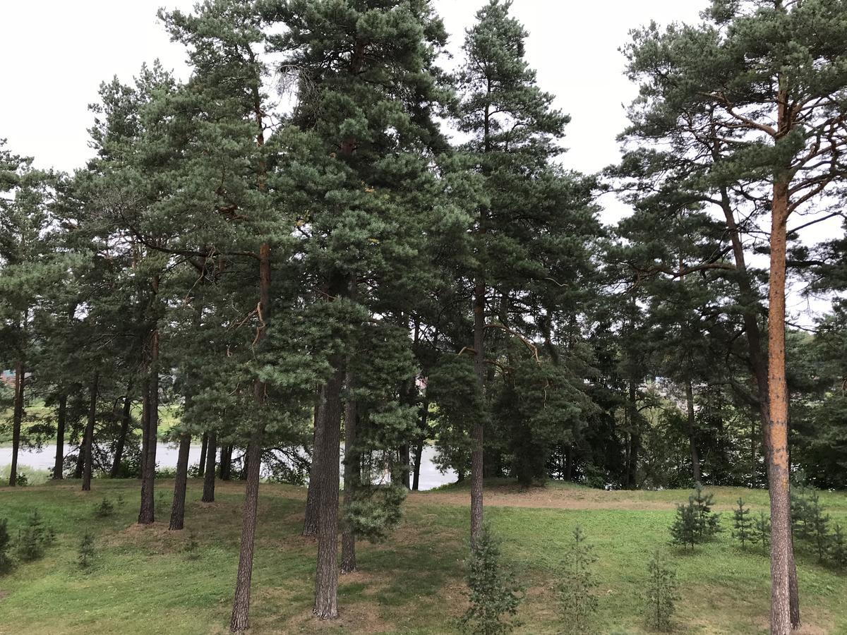 Priedaine Hotel Kraslava Bagian luar foto